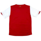 2006/08 Arsenal Domicile (10/12a) - Iconic Football Shop