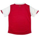 2006/08 Arsenal Domicile (6/8a) - Iconic Football Shop