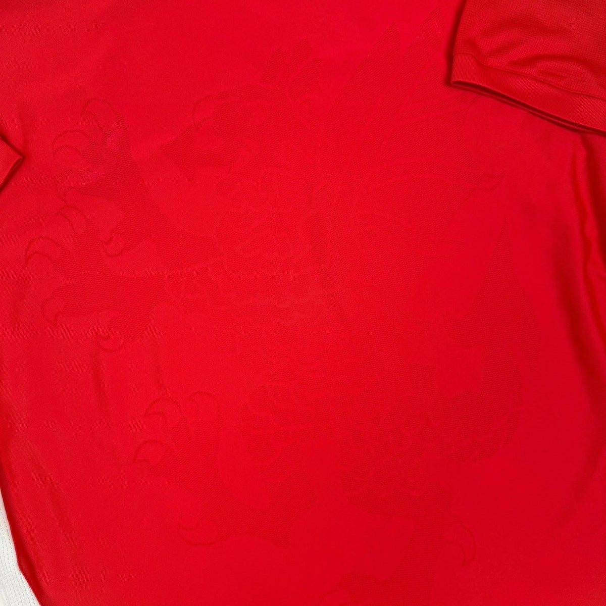 2008/10 Pays de Galles Domicile (M) - Iconic Football Shop