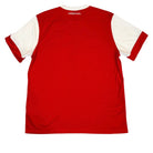 2010/11 Arsenal Domicile (XL) - Iconic Football Shop