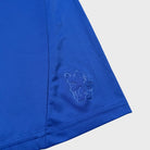 2010/11 Chelsea Domicile (16a) - Iconic Football Shop