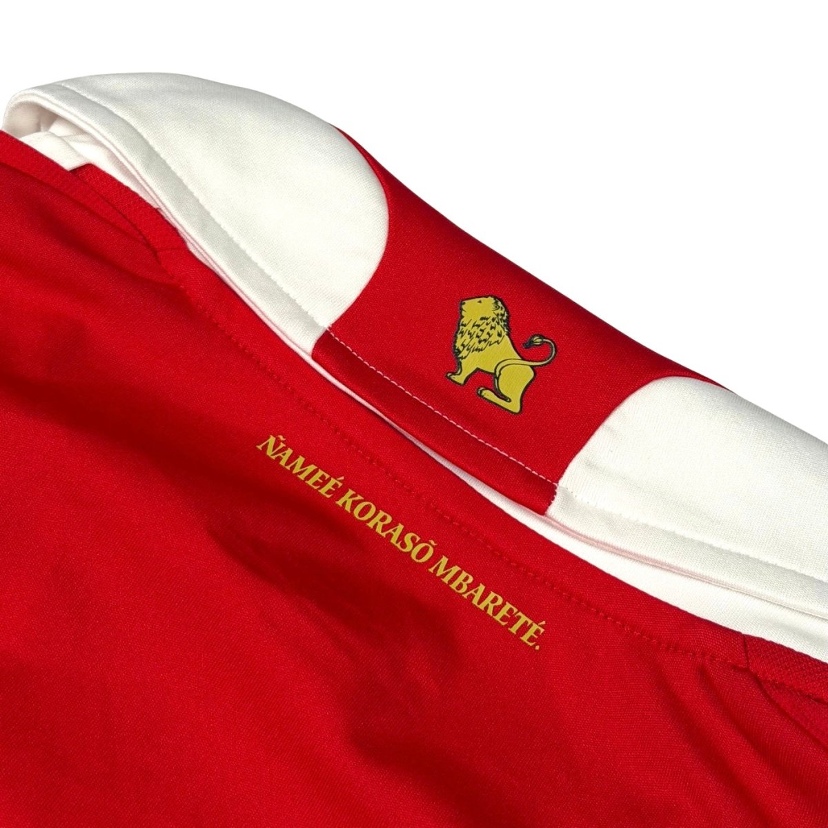 2010/11 Paraguay Domicile (XL) - Iconic Football Shop