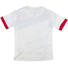 2012/13 Lyon Domicile (10a) - Iconic Football Shop