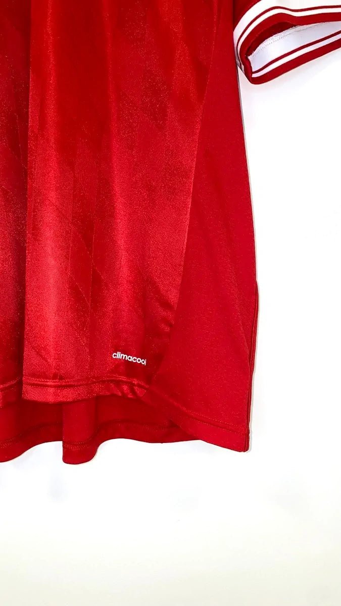 2013/14 Bayern Munich Domicile - Götze 19 (2XL) - Iconic Football Shop