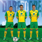 2013/14 Norwich Domicile *FEMME* (L) - Iconic Football Shop