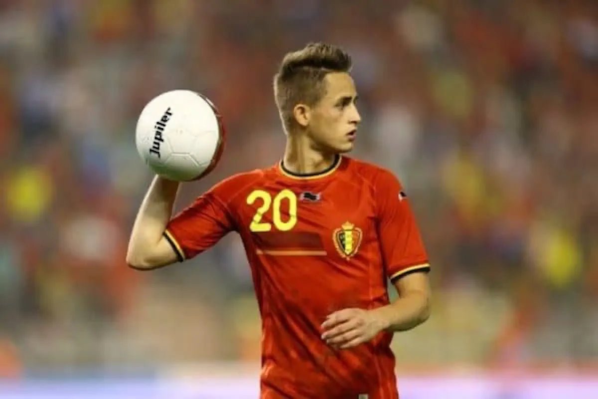 2014/15 Belgique Domicile - Januzaj 20 (L) - Iconic Football Shop