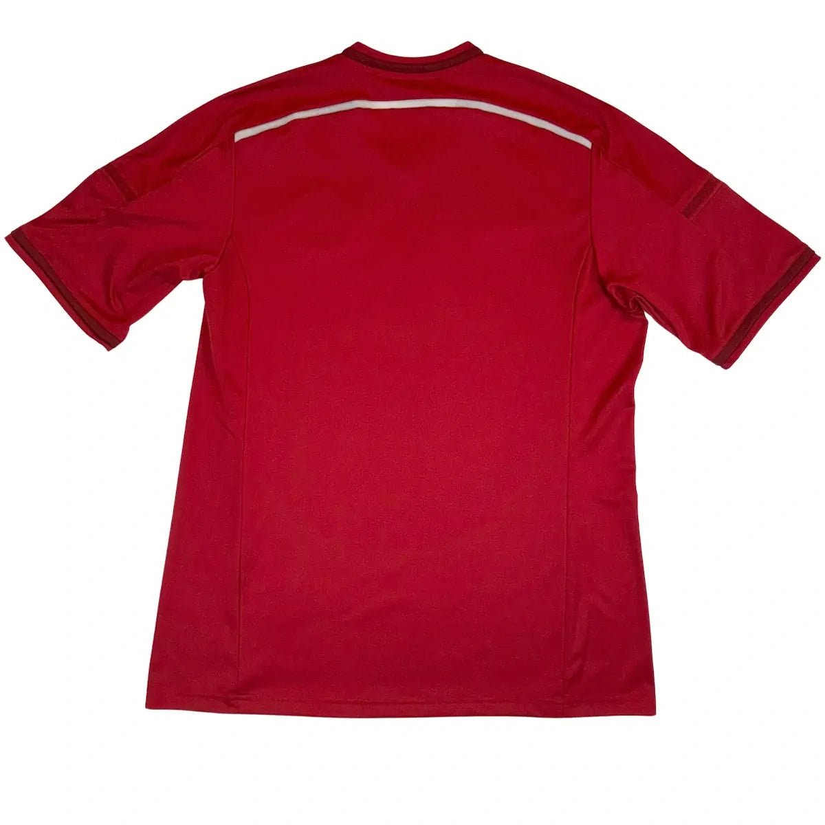 2014/15 Danemark Domicile (L) - Iconic Football Shop