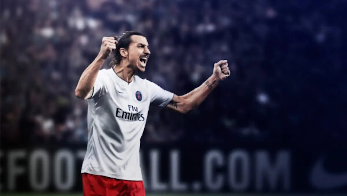 2014/15 PSG Extérieur (L) - Iconic Football Shop