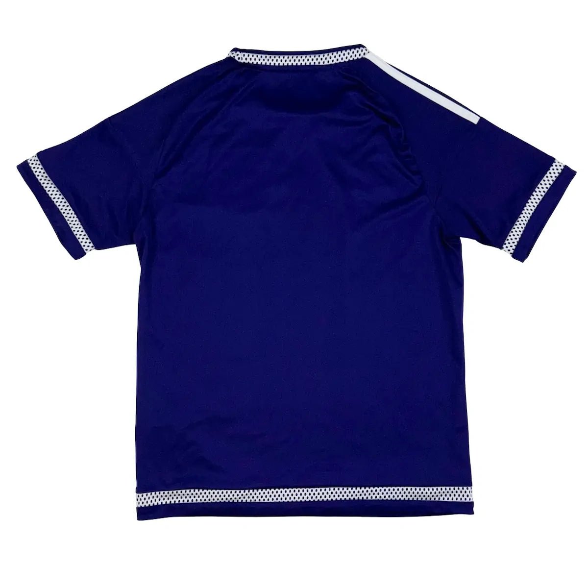 2015/16 Anderlecht Domicile (14a) - Iconic Football Shop