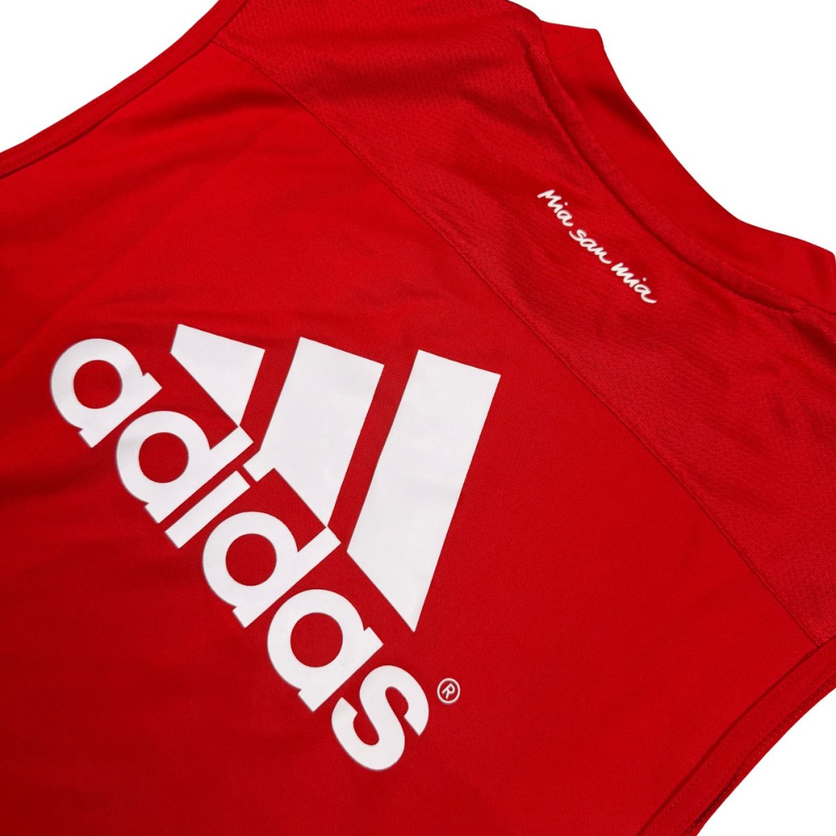 2015/16 Bayern Munich Entraînement (S) - Iconic Football Shop