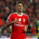 2015/16 Benfica Domicile - Jonas 17 *CHAMPIONS LEAGUE* (XL) - Iconic Football Shop