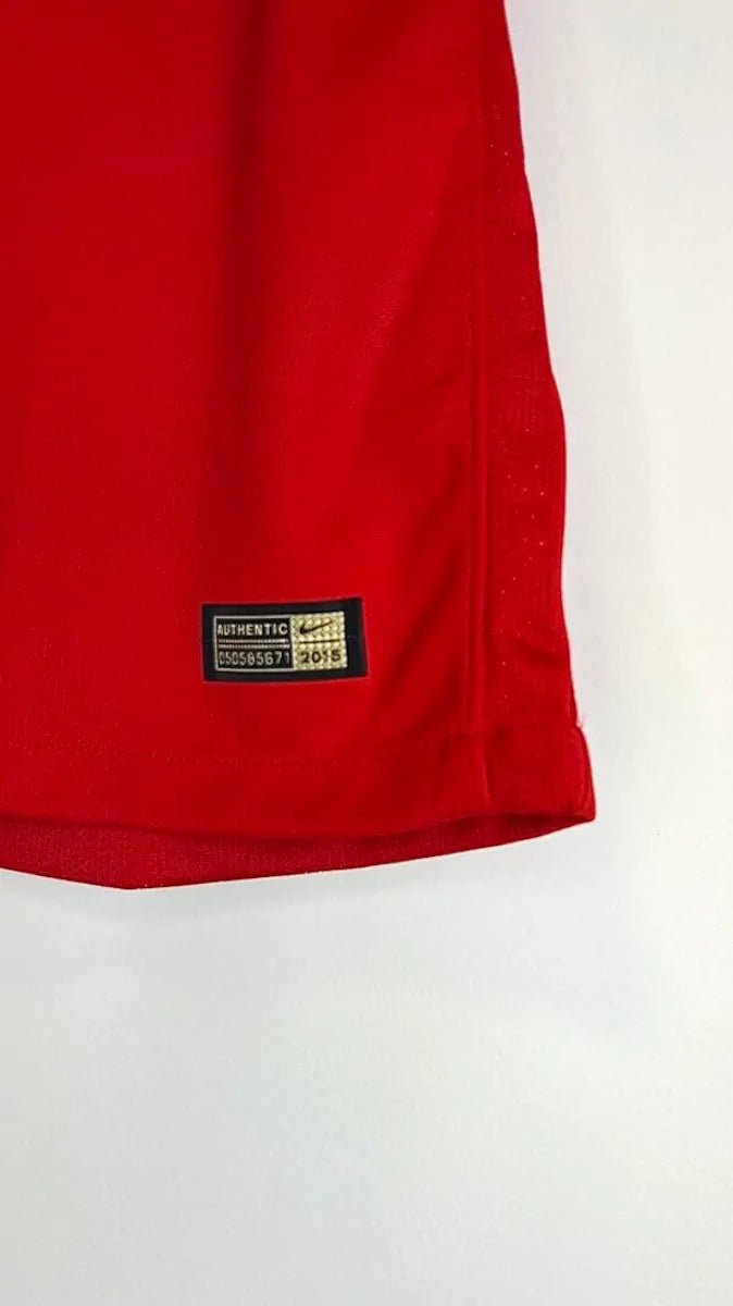 2015/16 Internacional Domicile *PRO* (L) - Iconic Football Shop