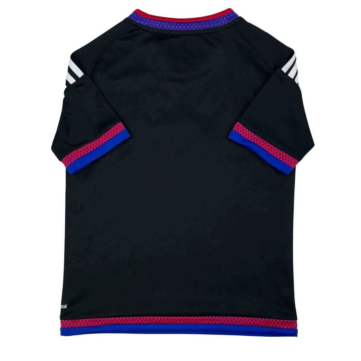 2015/17 FC Bâle Domicile (9/10a) - Iconic Football Shop
