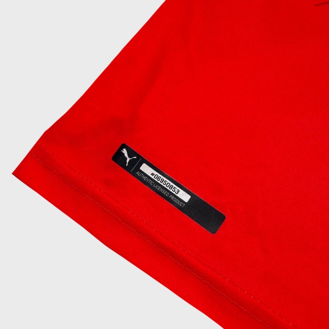 2016/17 Autriche Domicile (L) - Iconic Football Shop