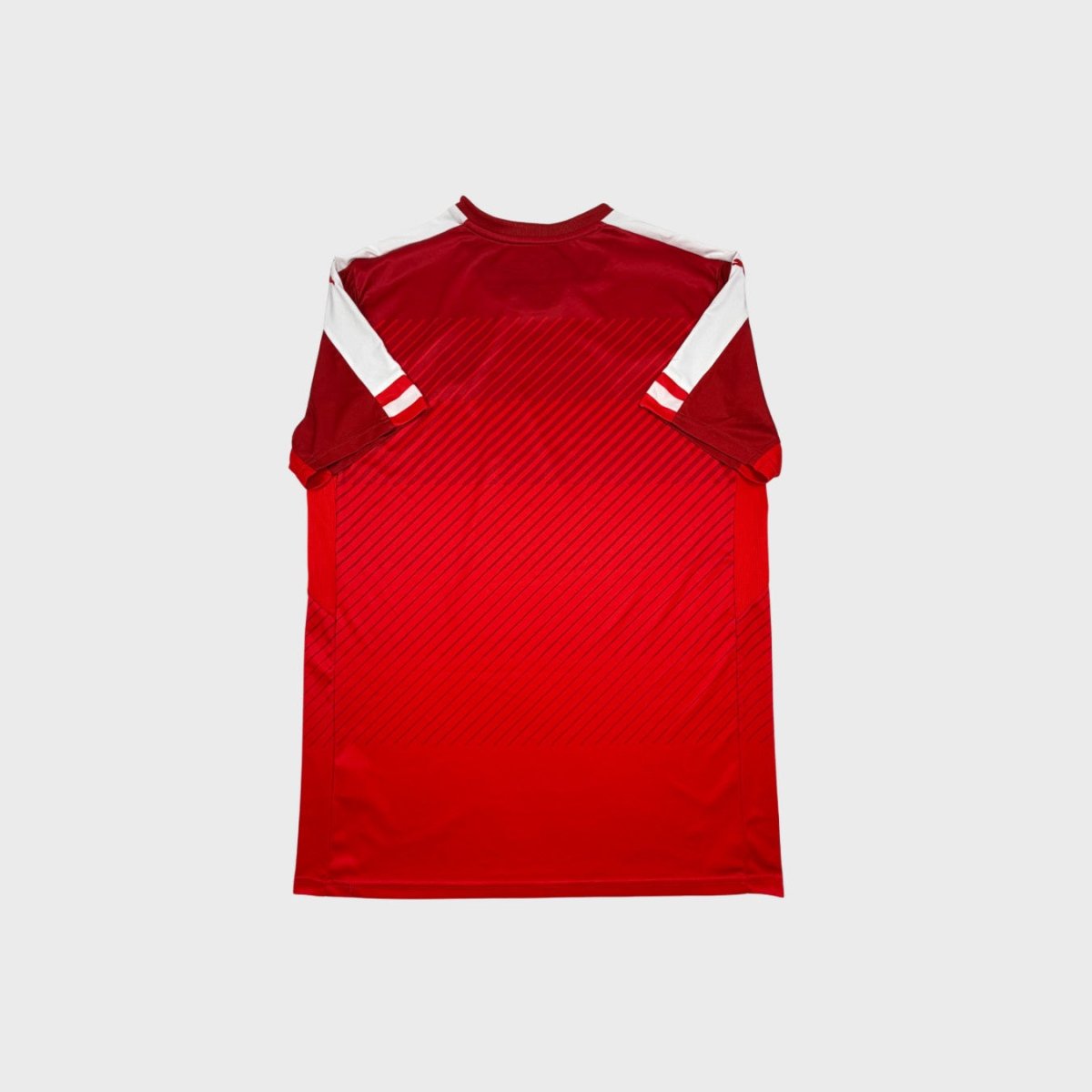 2016/17 Autriche Domicile (L) - Iconic Football Shop