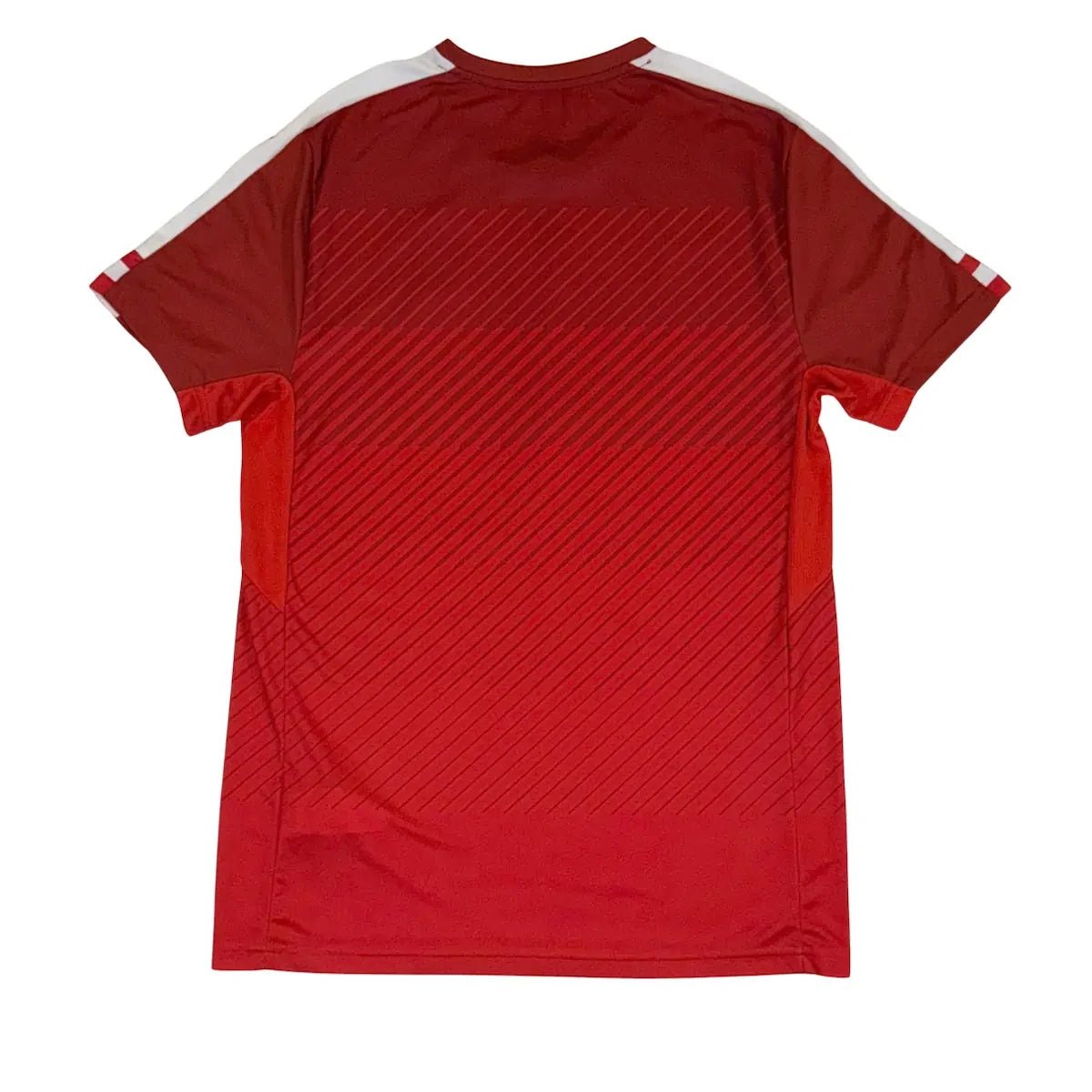 2016/17 Autriche Domicile (M) - Iconic Football Shop