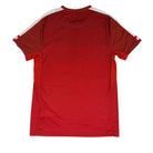 2016/17 Autriche Domicile (M) - Iconic Football Shop