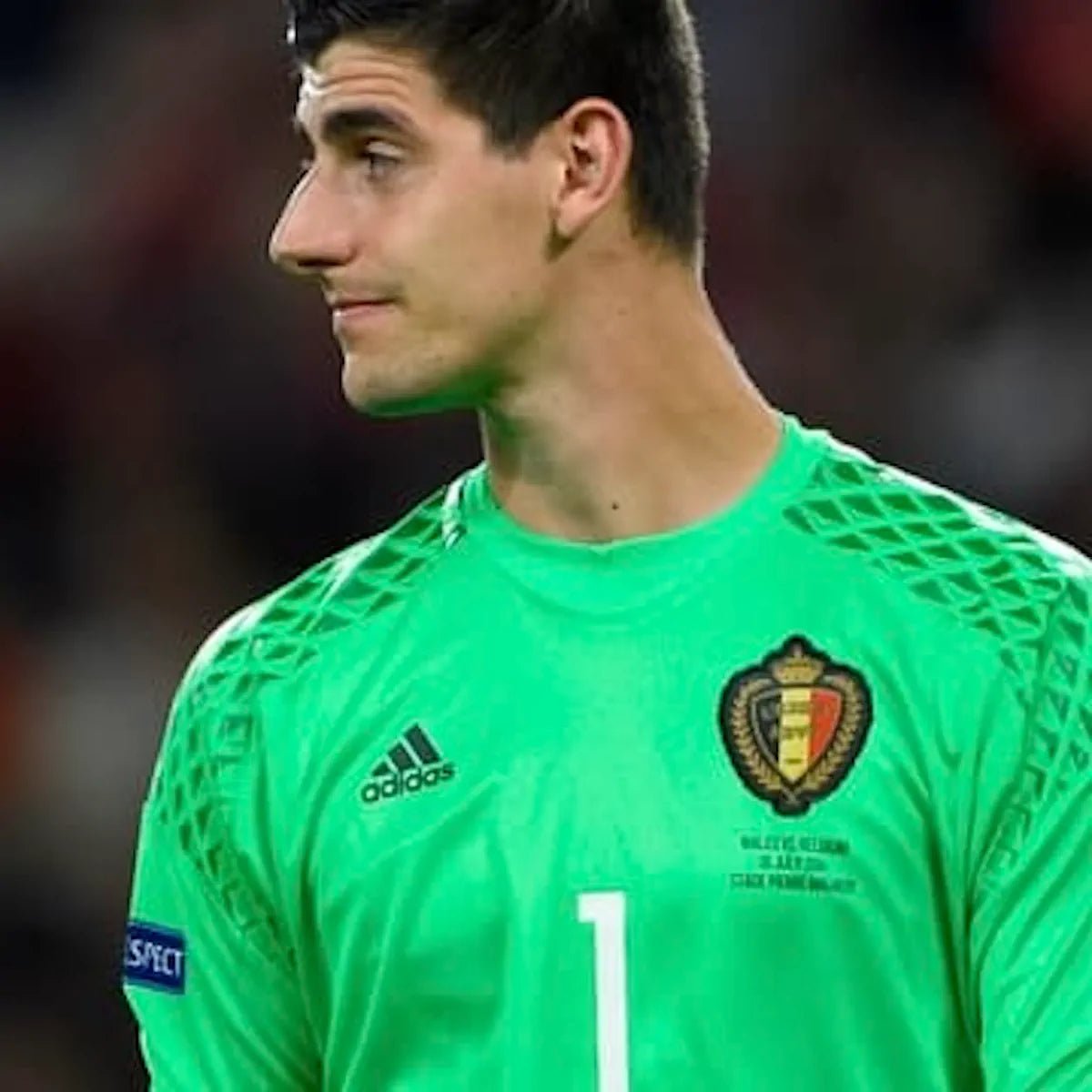 2016/17 Belgique Goal Keeper (L) - Iconic Football Shop