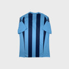 2016/17 Djurgardens IF Domicile (M) - Iconic Football Shop