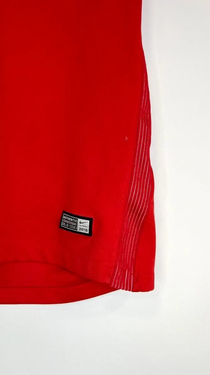 2016/17 Internacional Domicile (M) - Iconic Football Shop