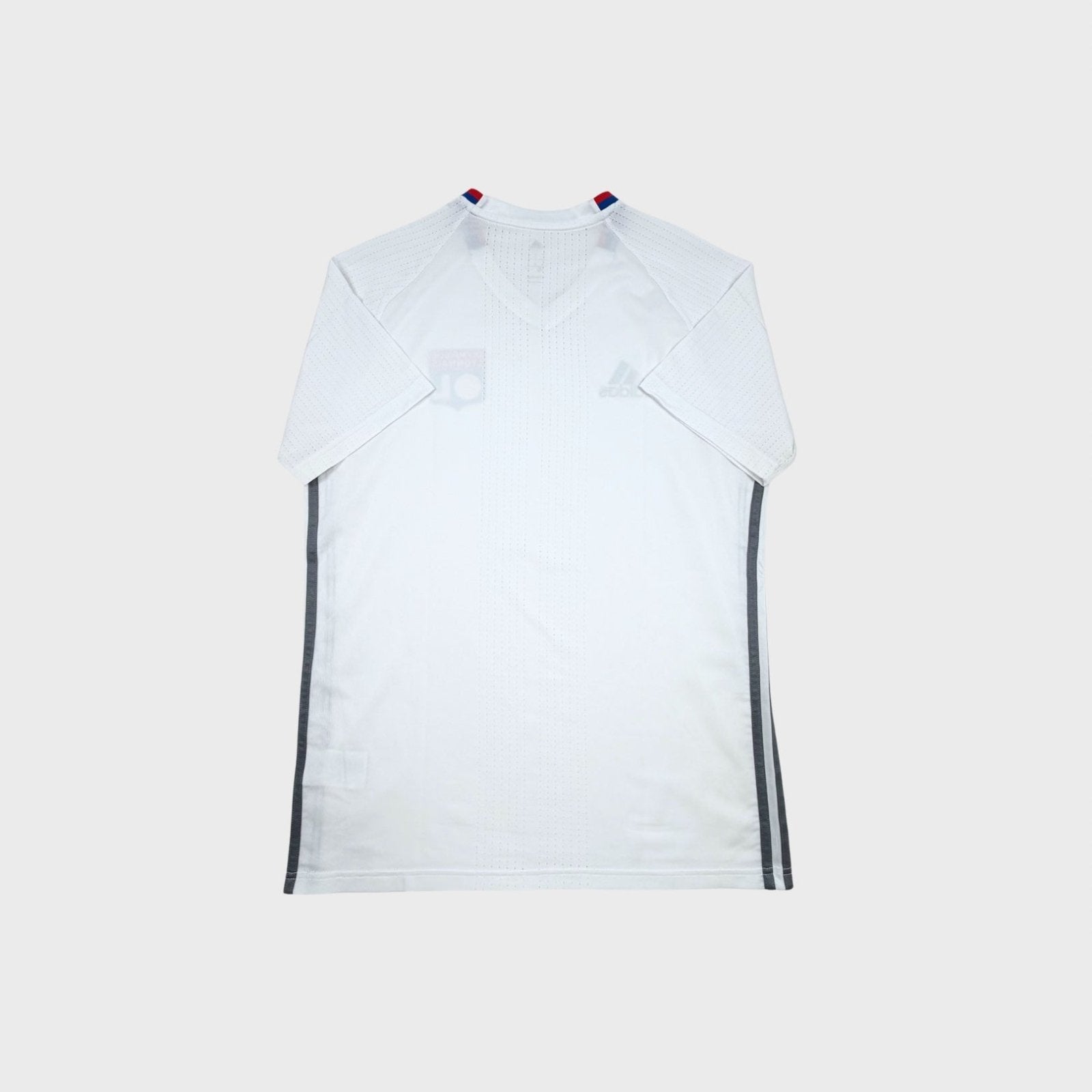 2016/17 Lyon Entraînement (M) - Iconic Football Shop