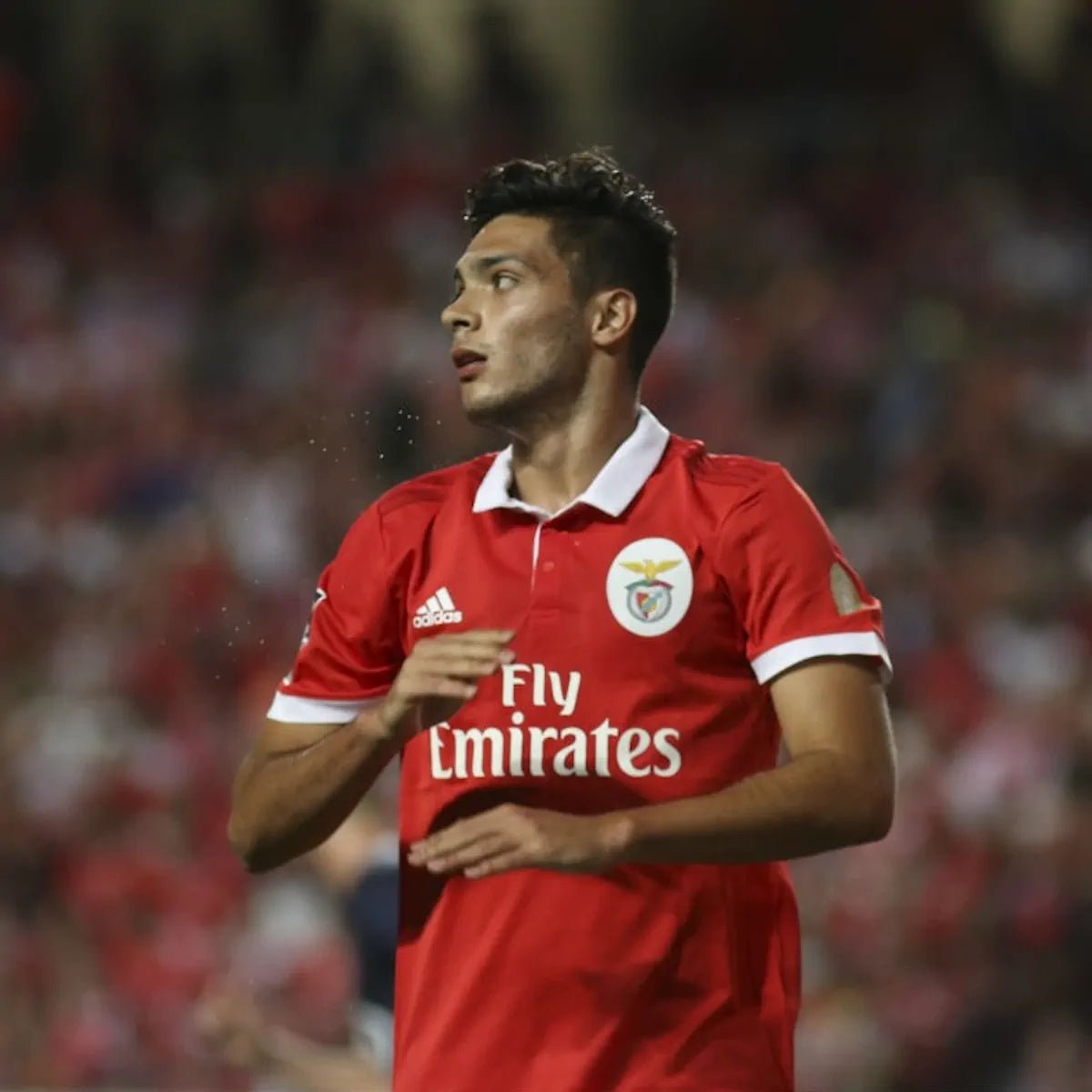 2017/18 Benfica Domicile - Raúl 9 (M) - Iconic Football Shop