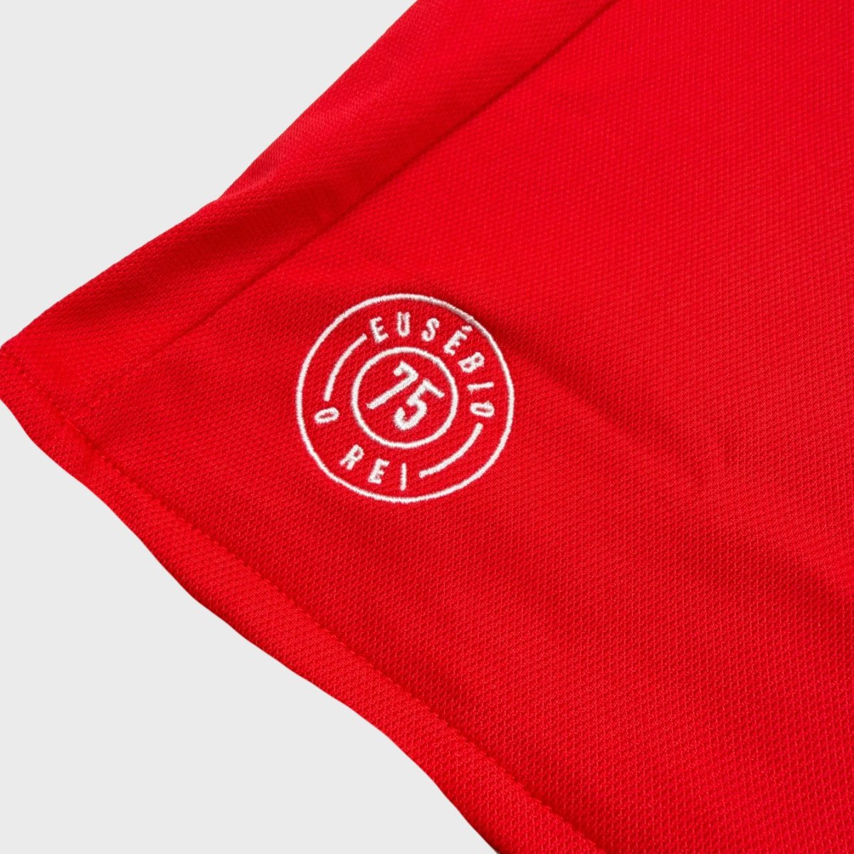 2017/18 Benfica Domicile - Rúben Dias 66 (S) - Iconic Football Shop
