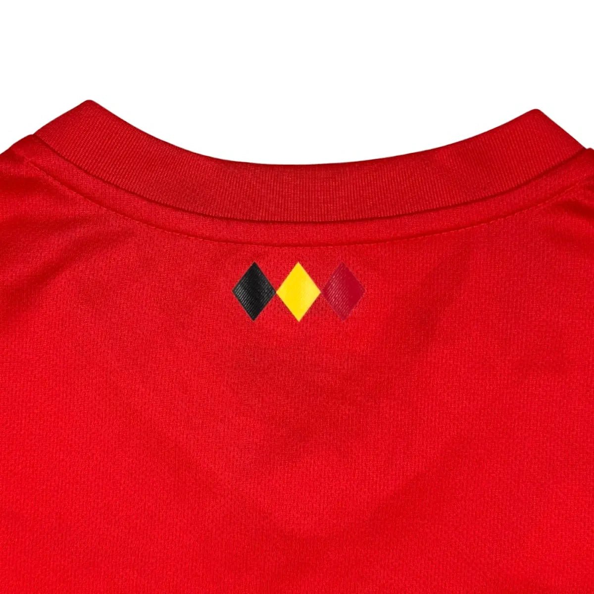 2018/19 Belgique Domicile (13/14a) - Iconic Football Shop