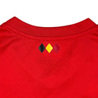 2018/19 Belgique Domicile (13/14a) - Iconic Football Shop