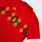 2018/19 Belgique Domicile (L) - Iconic Football Shop