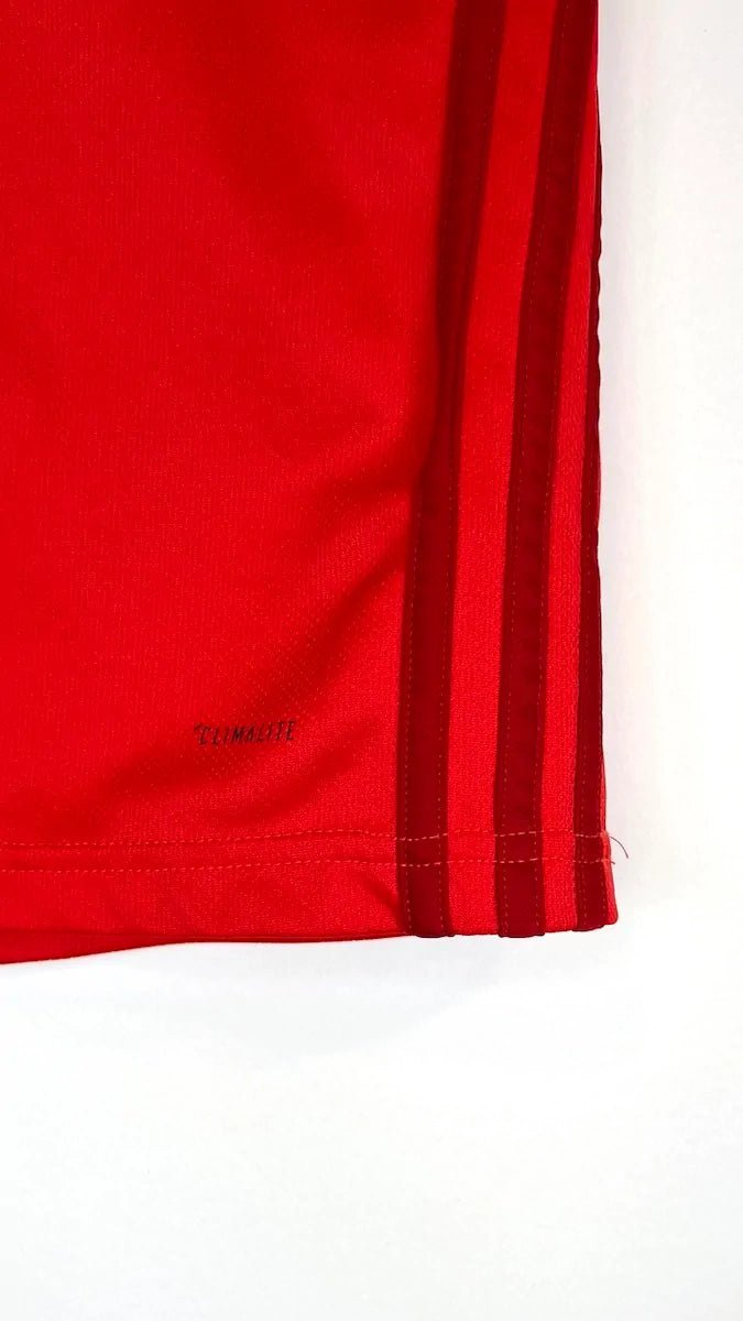 2018/19 Belgique Domicile (M) - Iconic Football Shop