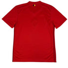 2018/19 Belgique Domicile (M) - Iconic Football Shop