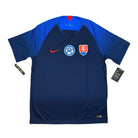 2018/19 Slovaquie Extérieur (L) - Iconic Football Shop