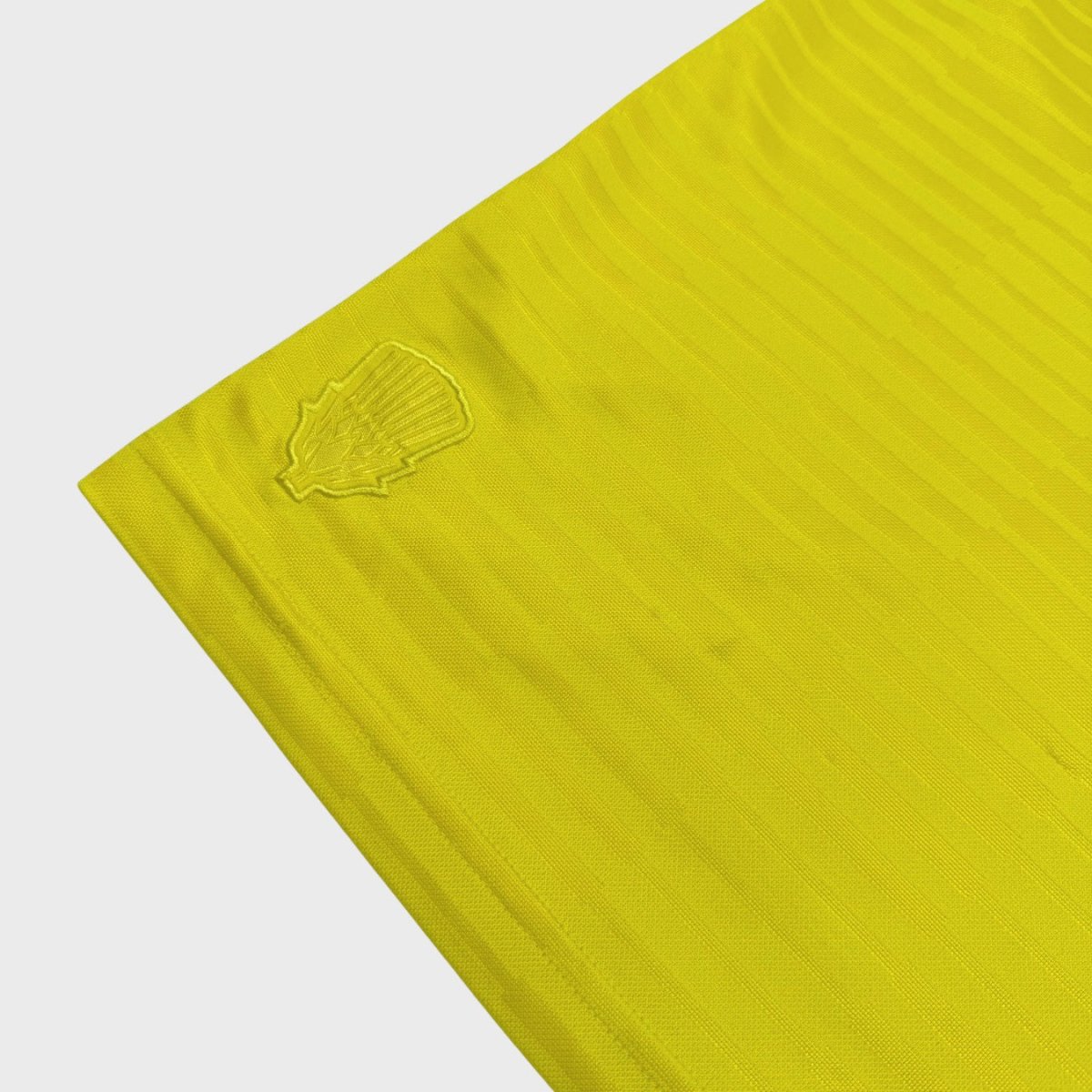 2018/20 Ecosse Extérieur (L) - Iconic Football Shop