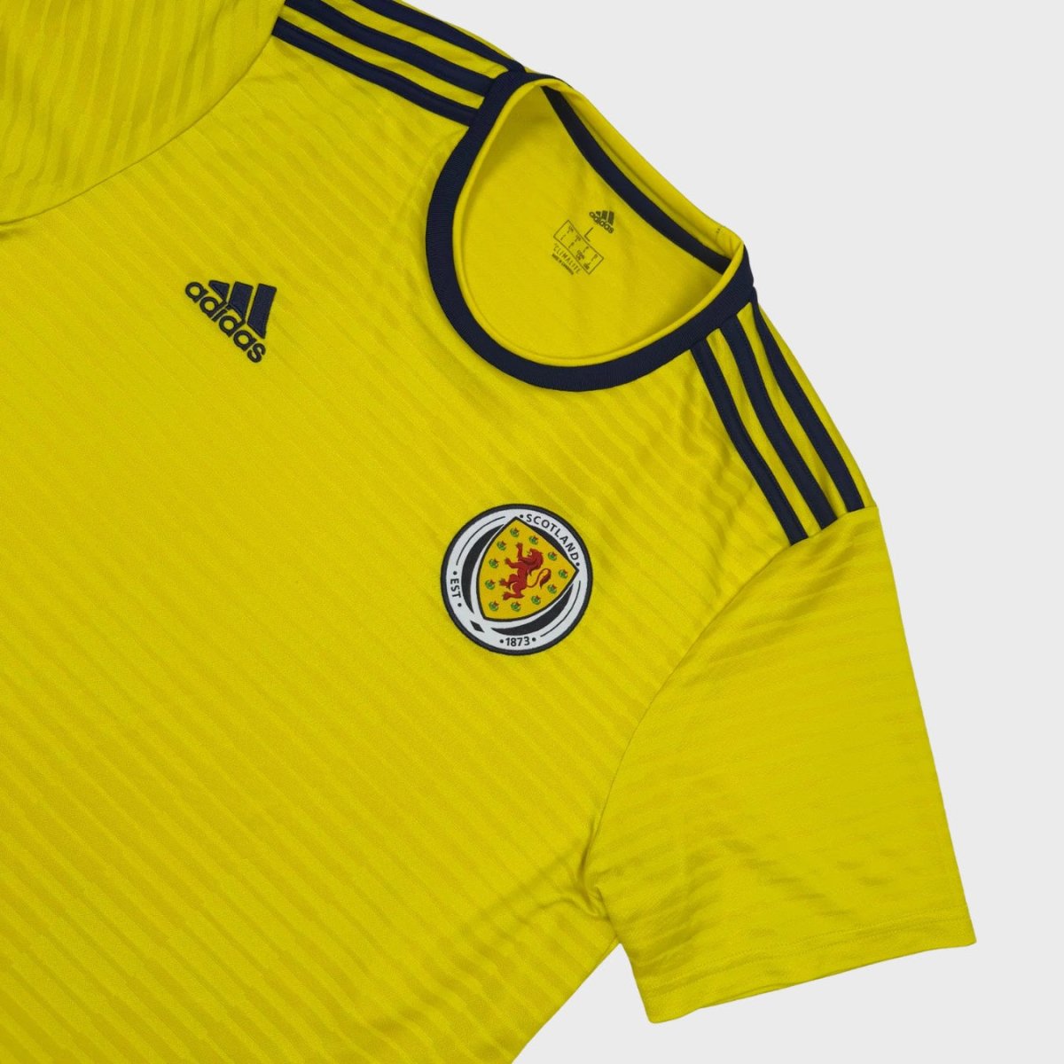 2018/20 Ecosse Extérieur (L) - Iconic Football Shop