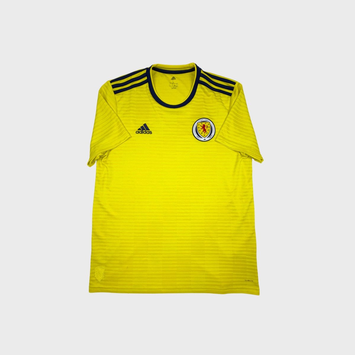 2018/20 Ecosse Extérieur (L) - Iconic Football Shop