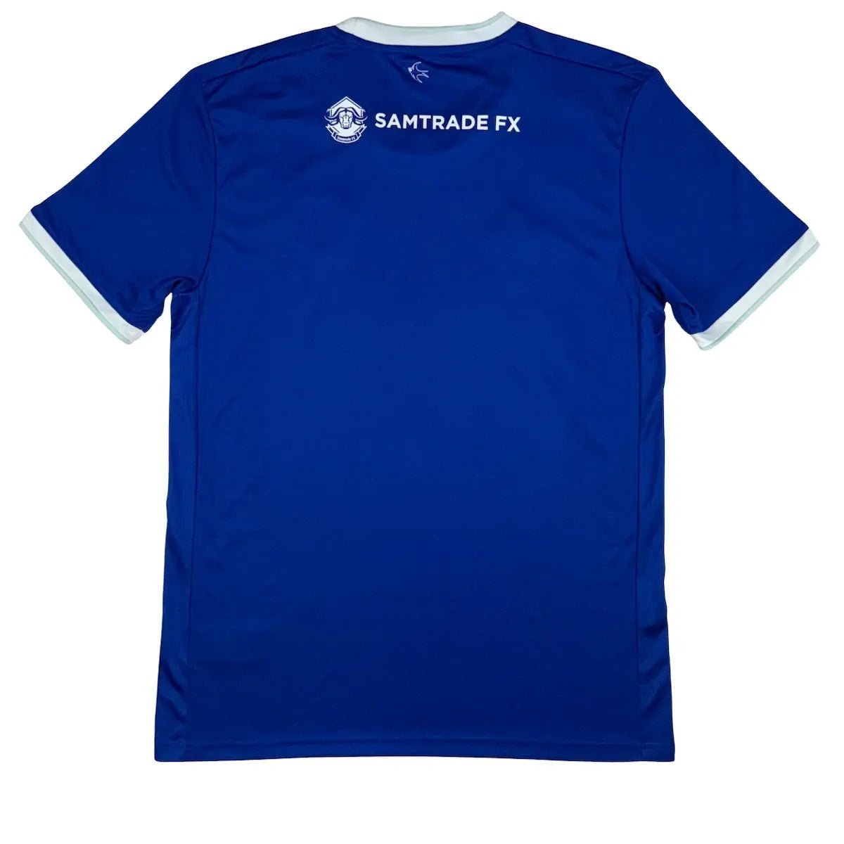 2020/21 Cardiff City Domicile (M) - Iconic Football Shop