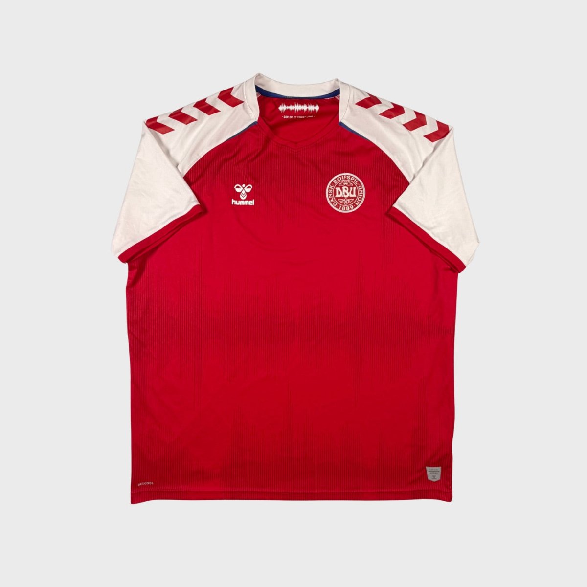 2020/21 Danemark Domicile (4XL) - Iconic Football Shop