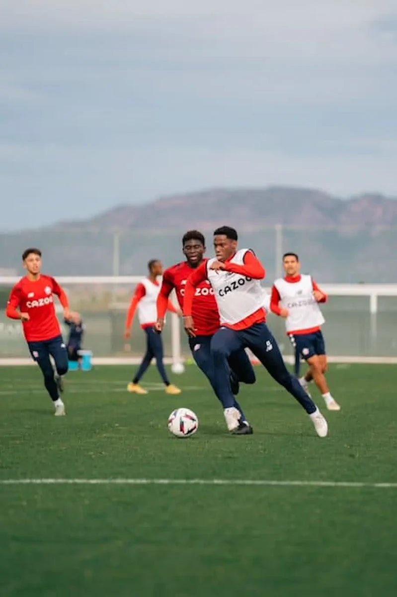 2021/22 Lille Entraînement (XL) - Iconic Football Shop