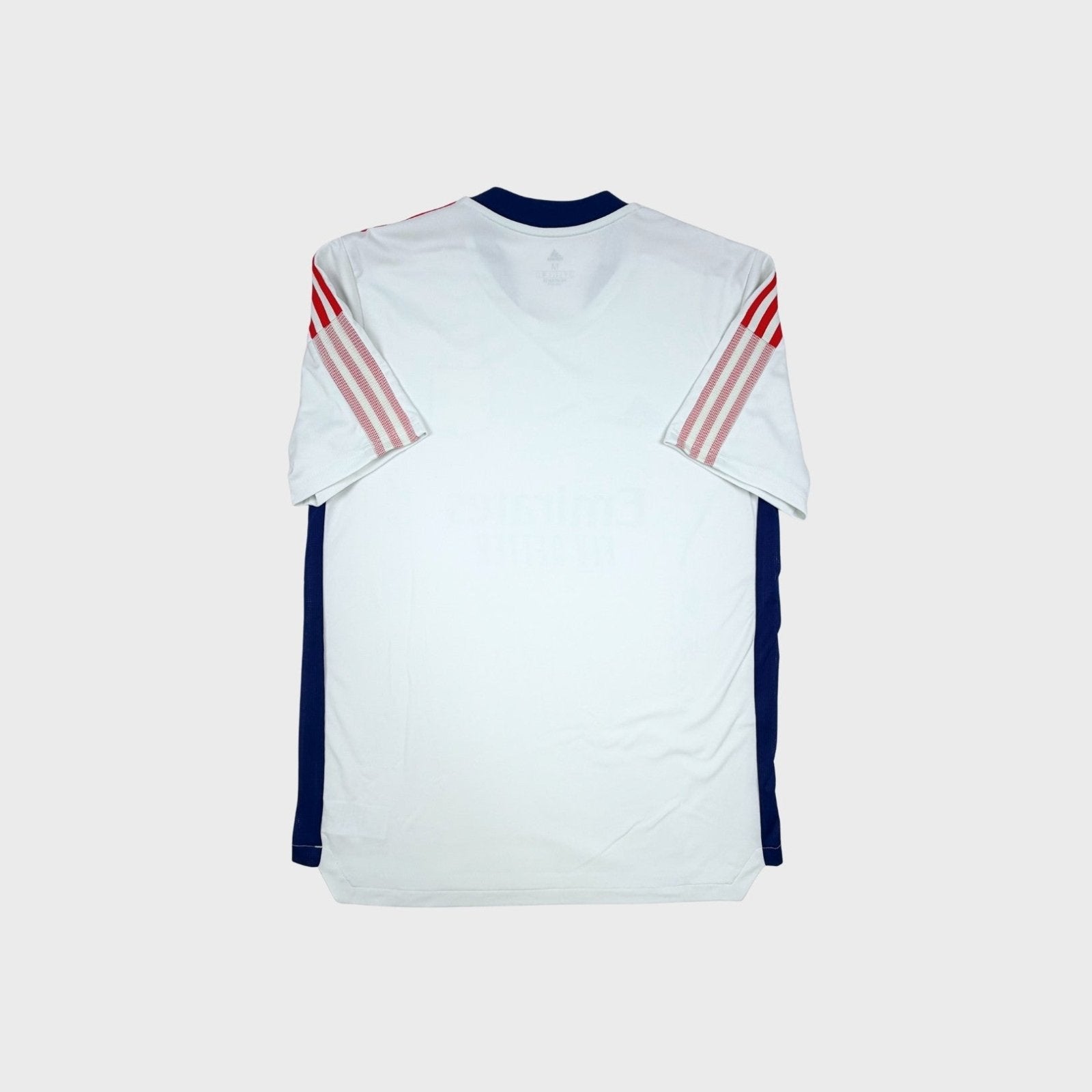 2021/22 Lyon Entraînement (M) - Iconic Football Shop