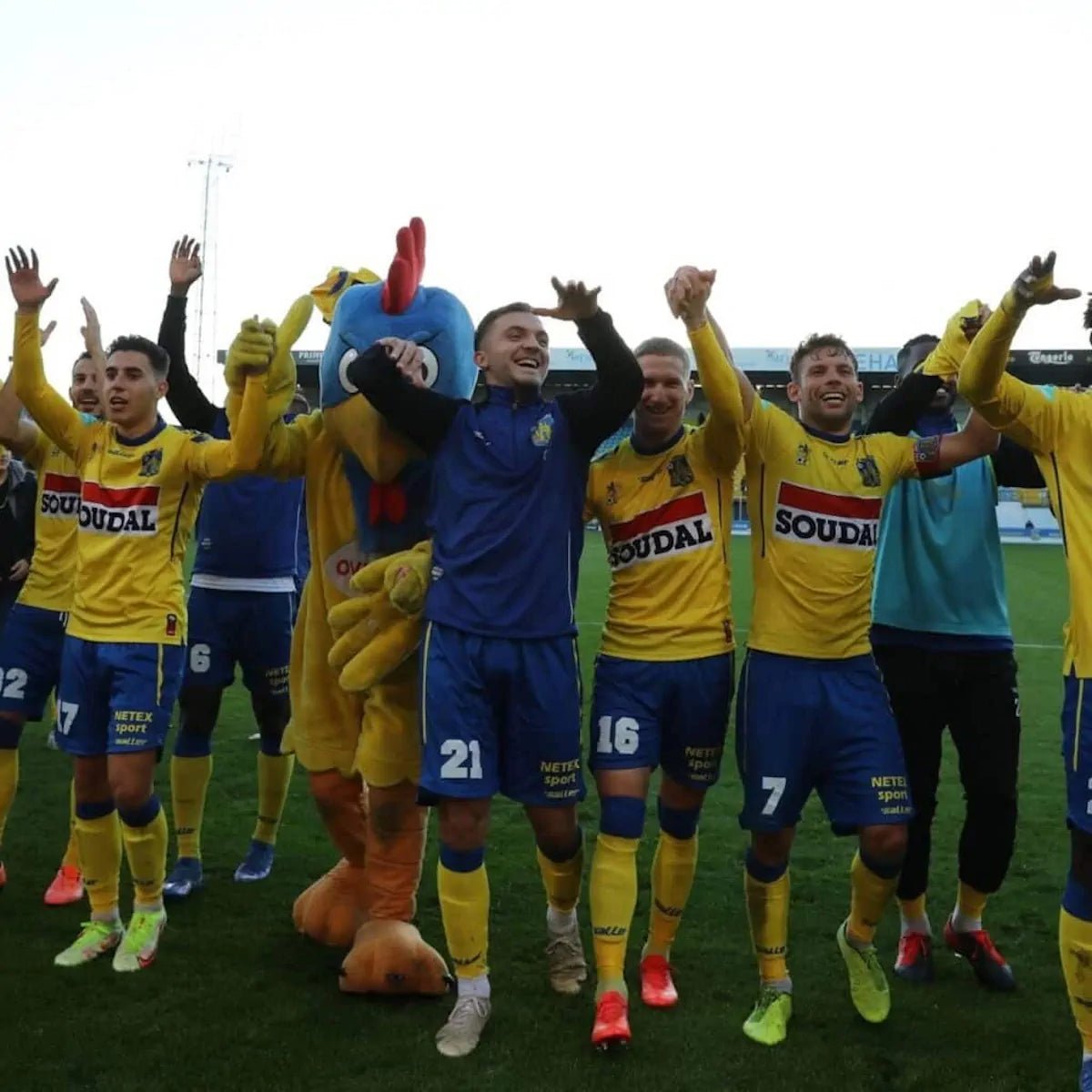 2021/22 Westerlo Entraînement (L) - Iconic Football Shop