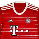 2022/23 Bayern Munich Domicile (M) - Iconic Football Shop