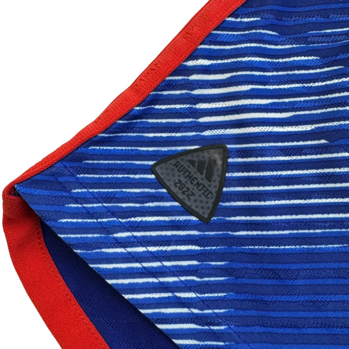 2022/23 Japon Domicile *PRO* (M) - Iconic Football Shop