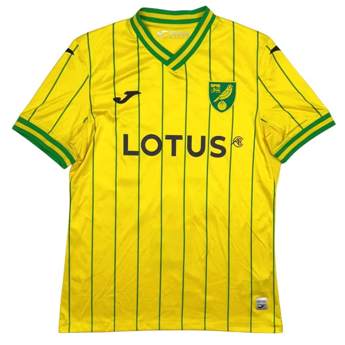 2022/23 Norwich Domicile - Sinani 21 (M) - Iconic Football Shop
