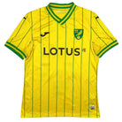 2022/23 Norwich Domicile - Sinani 21 (M) - Iconic Football Shop
