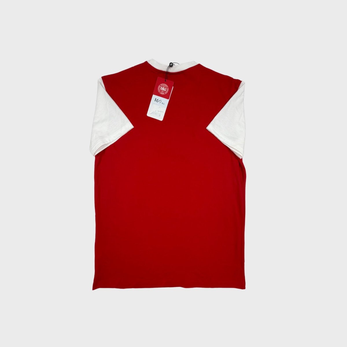 2024 Danemark Entraînement (M) - Iconic Football Shop