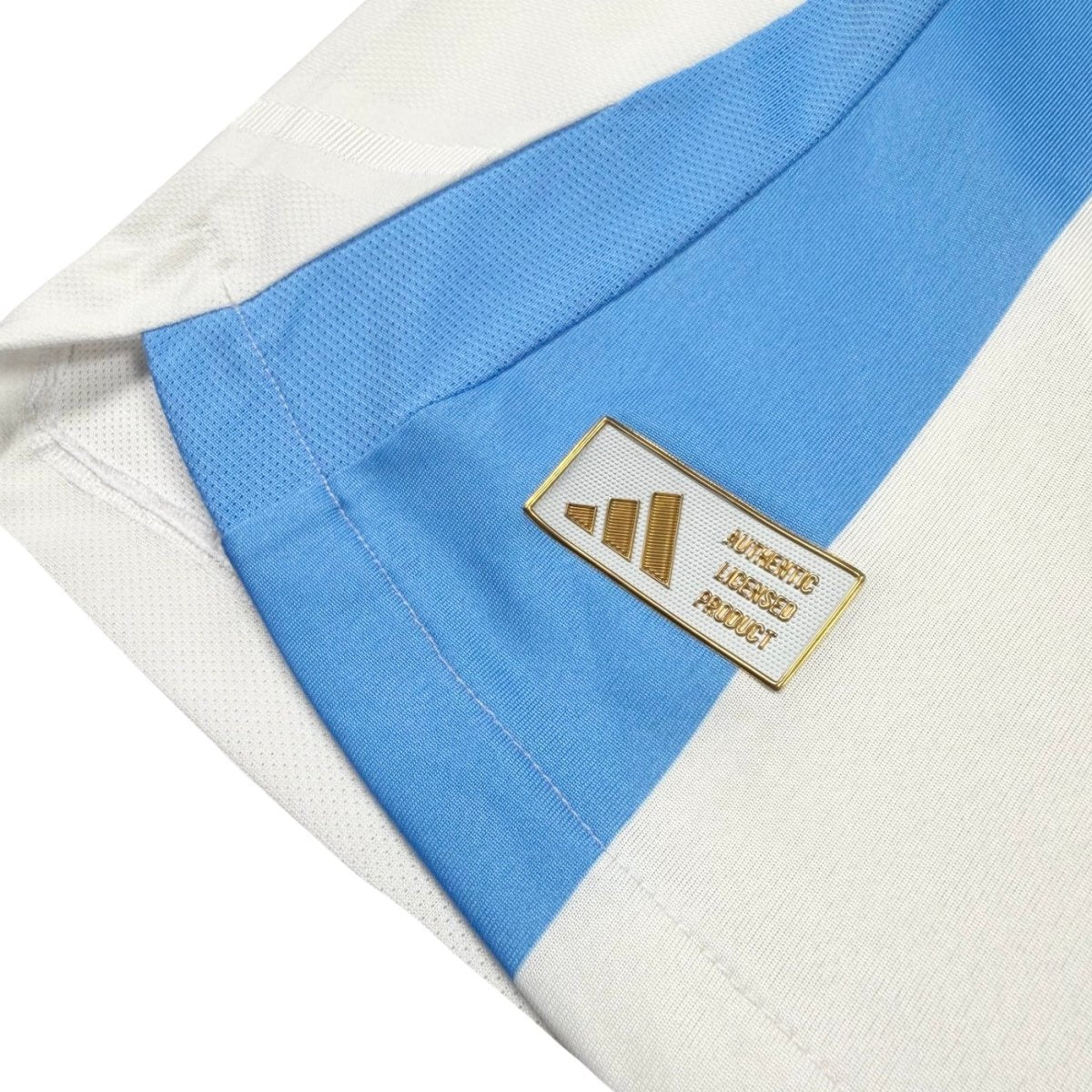 2024/25 Argentine Domicile - Messi 10 *PRO* (L) - Iconic Football Shop