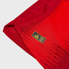2024/25 Bayern Munich Domicile - Kane 9 *PRO* (S) - Iconic Football Shop