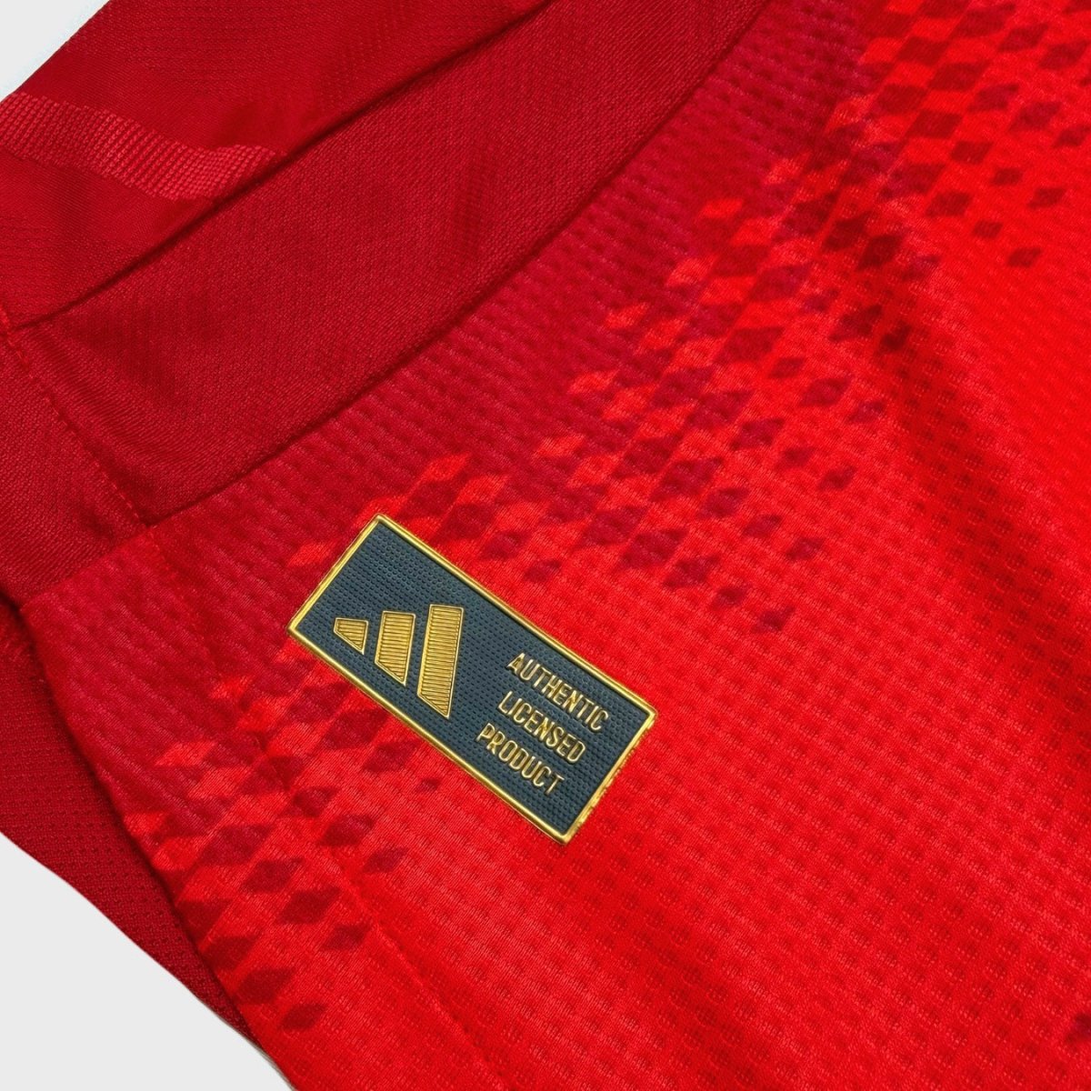 2024/25 Bayern Munich Domicile - Kimmich 6 *PRO* (M) - Iconic Football Shop