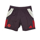 2024/25 Bayern Munich Entraînement *COMPLET* (L) - Iconic Football Shop